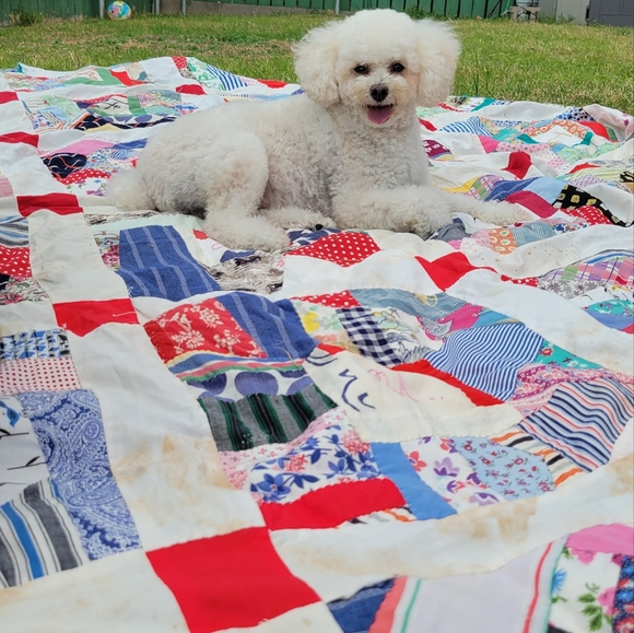 Meet your Posher, Kristi - Picture 3 of 7